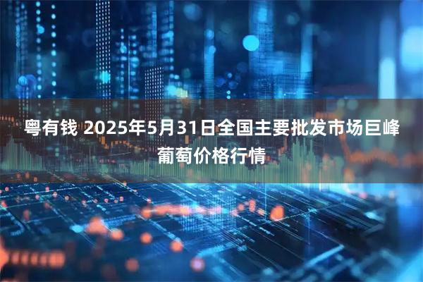 粤有钱 2025年5月31日全国主要批发市场巨峰葡萄价格行情