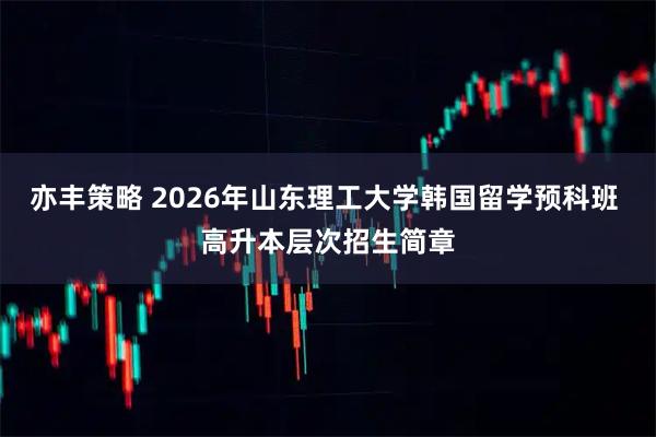 亦丰策略 2026年山东理工大学韩国留学预科班 高升本层次招生简章