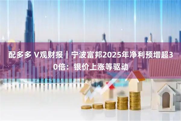 配多多 V观财报｜宁波富邦2025年净利预增超30倍：银价上涨等驱动